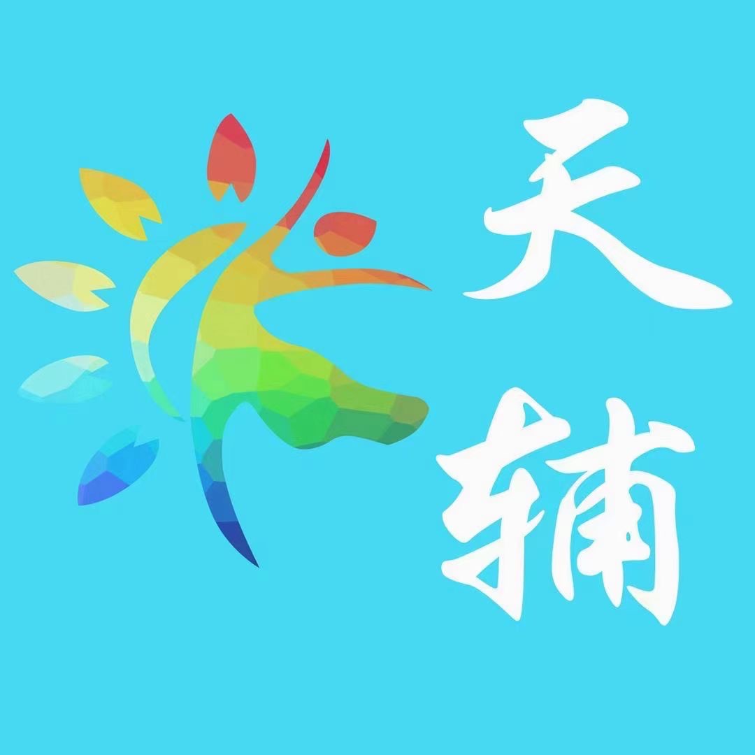 叶城县天辅艺术培训有限公司